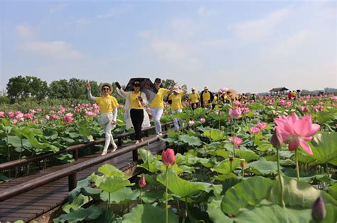 揚州到高郵多久？在探討此距離時，我們不妨進一步探討這兩地之間的文化交流與歷史淵源。